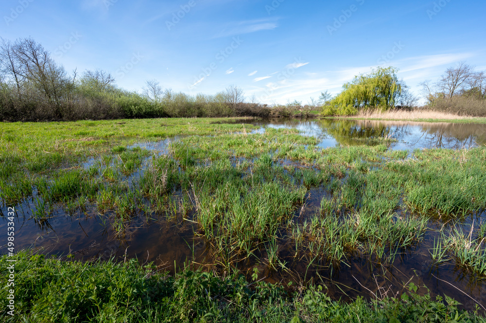 Paysage des étangs de La Dombes dans le département de lAin en France au printemps