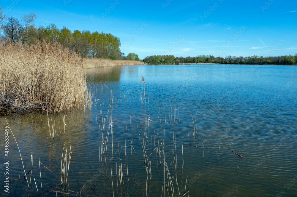 Paysage des étangs de La Dombes dans le département de lAin en France au printemps