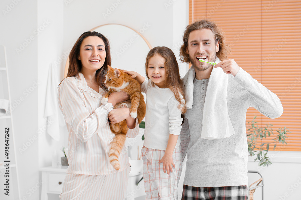 猫在浴室刷牙，幸福的一家人