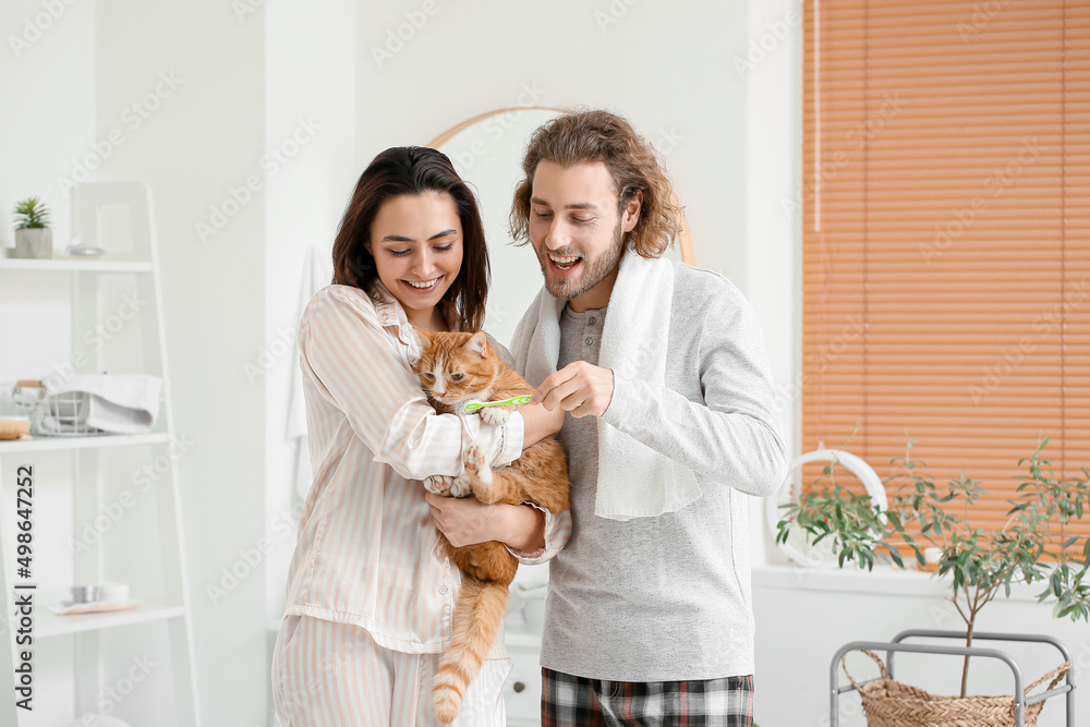 Happy couple with cat brushing teeth in bathroom