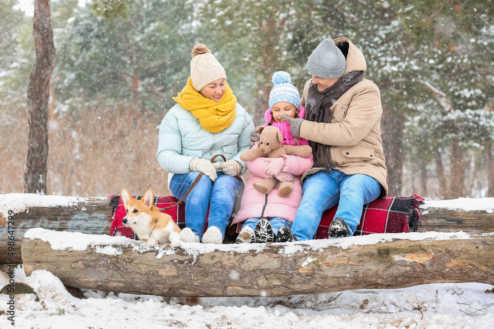 雪地冬日，森林里带着玩具的小女孩、她的祖父母和柯基犬