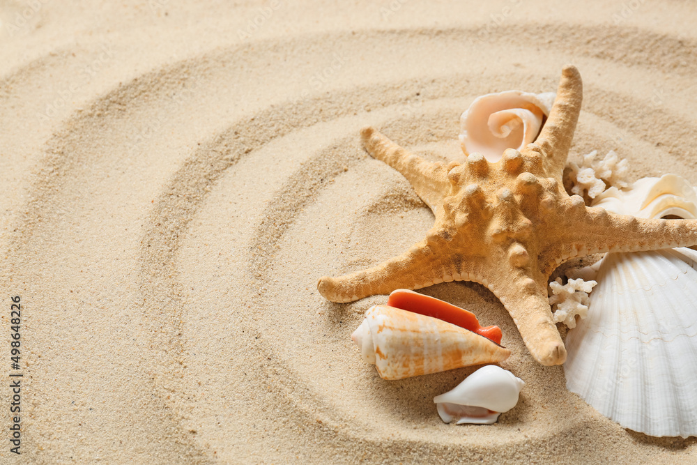 Many different sea shells and starfish on sea coast