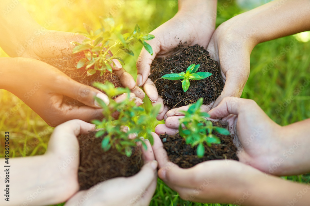 Protecting our precious resources. Cropped shot of a group of people each holding a plant growing in