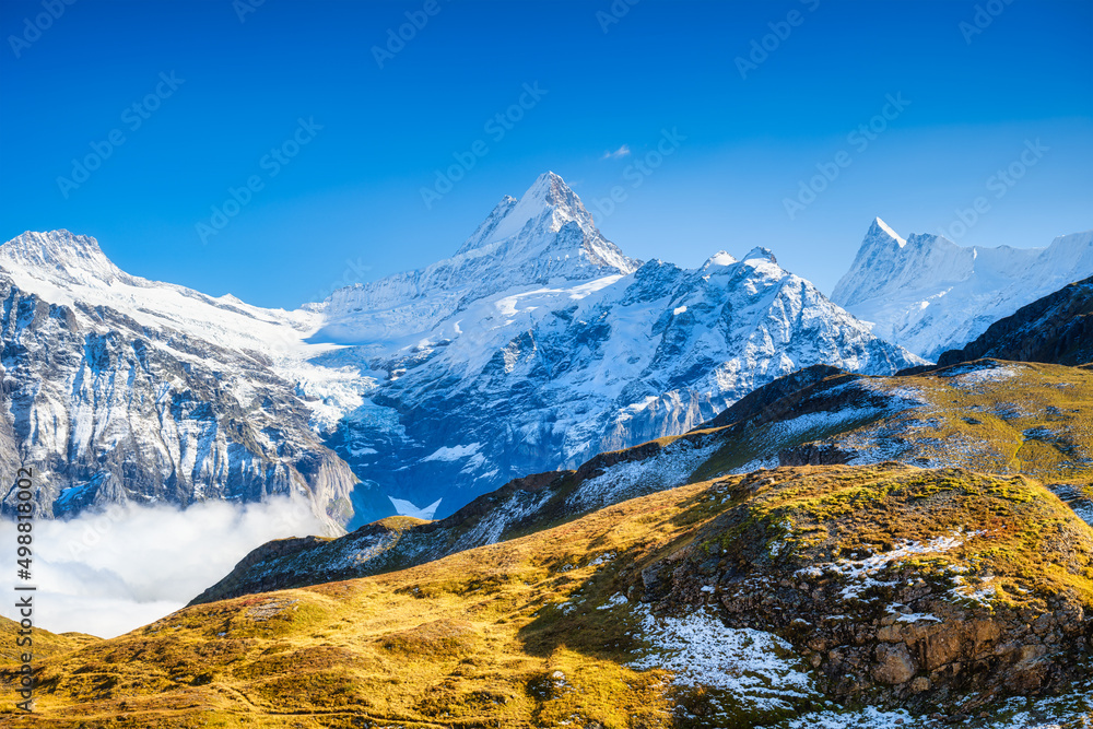 瑞士阿尔卑斯山的山景。山峰。自然景观。山脉和清澈的布鲁