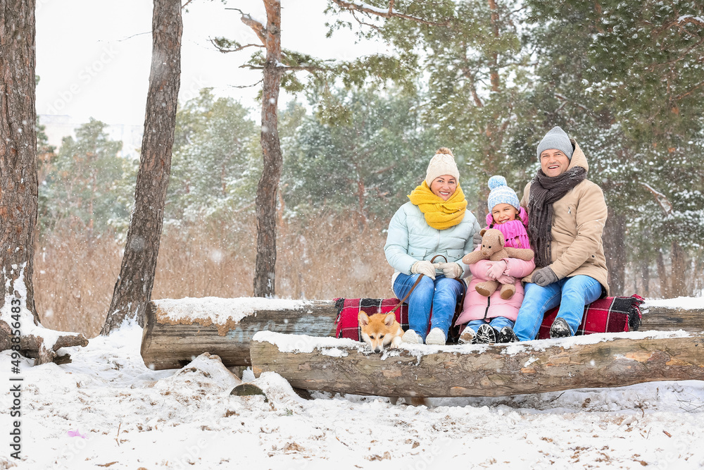 雪地冬日，森林里带着玩具的小女孩、她的祖父母和柯基犬