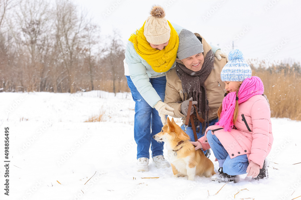 下雪的冬日里，一个快乐的小女孩和柯基犬以及她的祖父母在一起