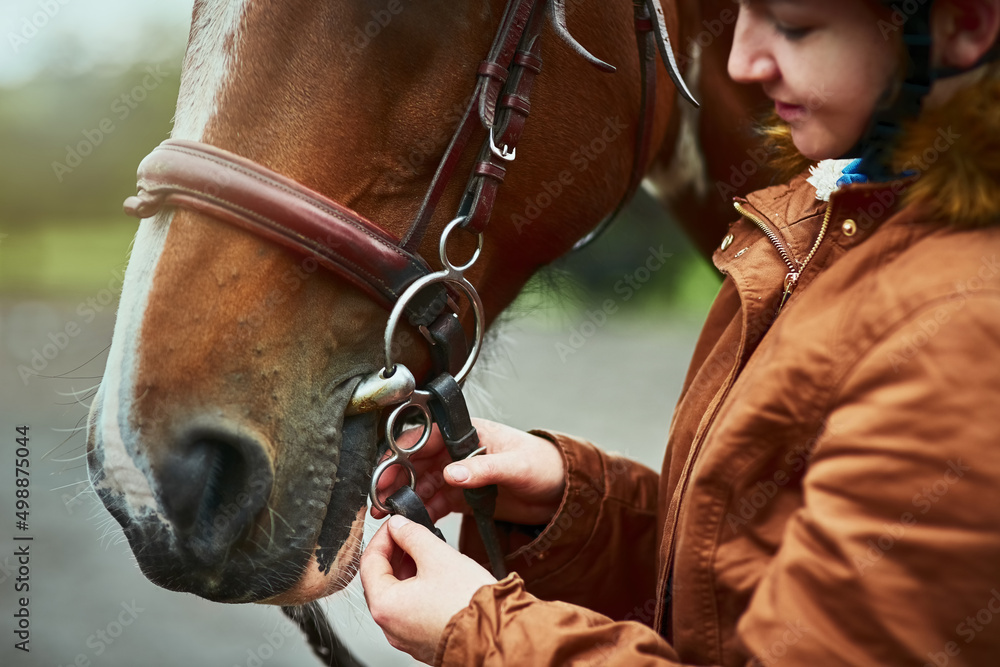 Theres never a good reason not to ride. Shot of a teenage girl preparing to ride her pony on a farm.