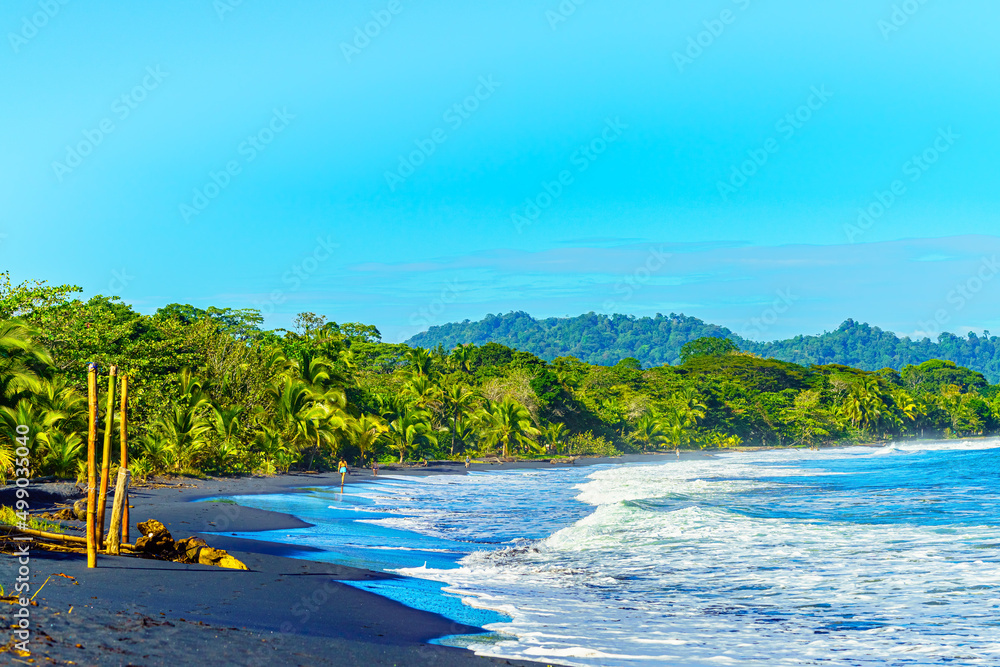 Playa Negro海滩，拥有美丽植被和黑色沙滩的热带海滩，Punta Uva，Puerto Viejo，