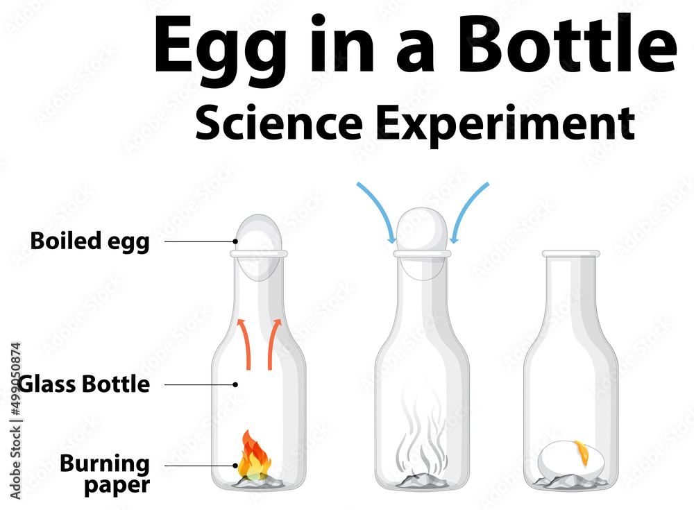 在家里用瓶子装鸡蛋做科学实验