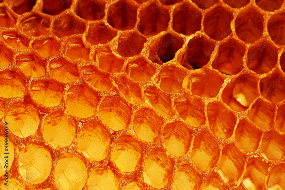 Yellow Honeycomb closeup background