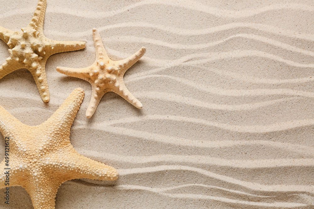 Different starfishes on sea beach sand