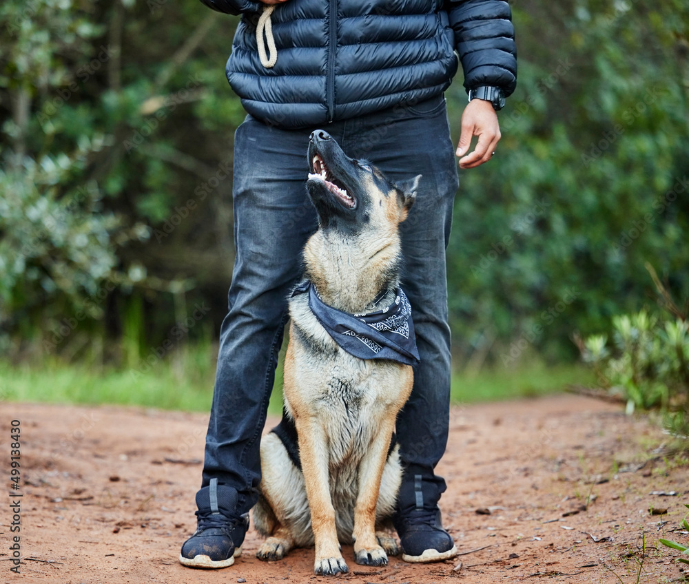 真是一个可爱的小家伙。一个男人和他可爱的德国牧羊犬共度美好时光的镜头