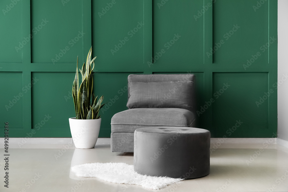 Comfortable pouf, armchair and houseplant near color wall