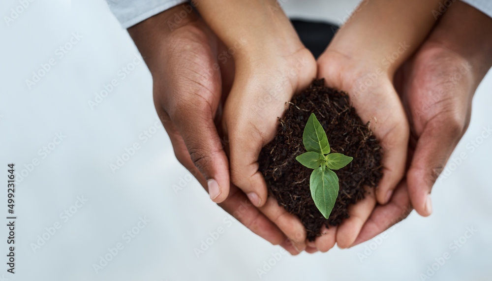 Together we can grow. Cropped shot of an unrecognizable couple holding a plant growing out of soil.