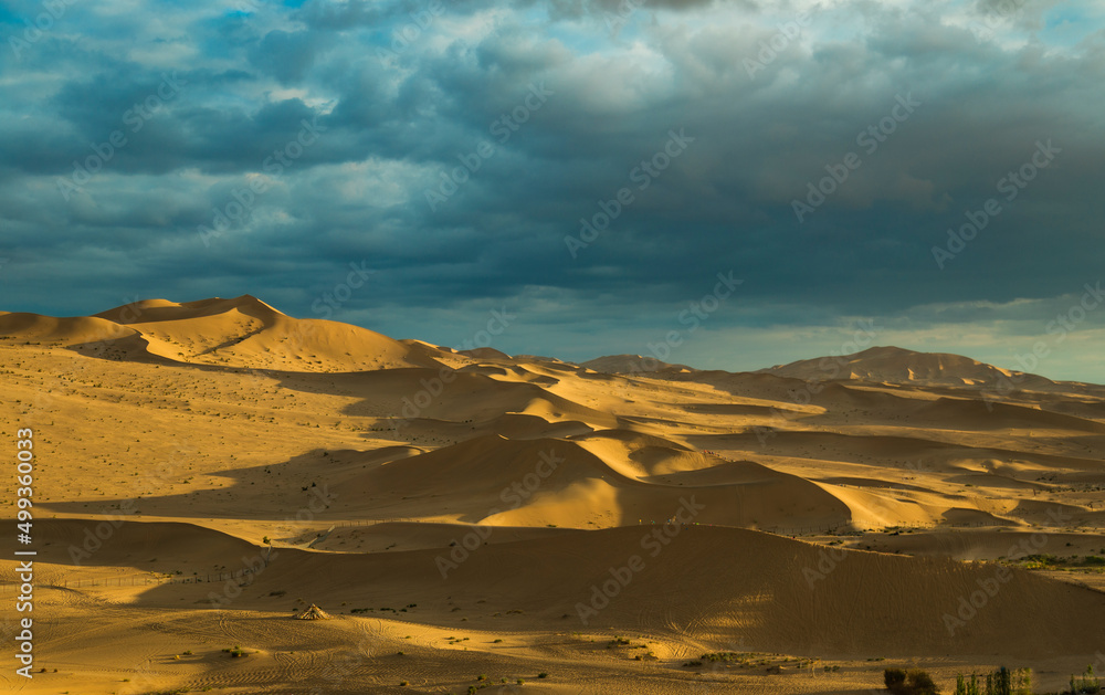 sand dunes in the desert