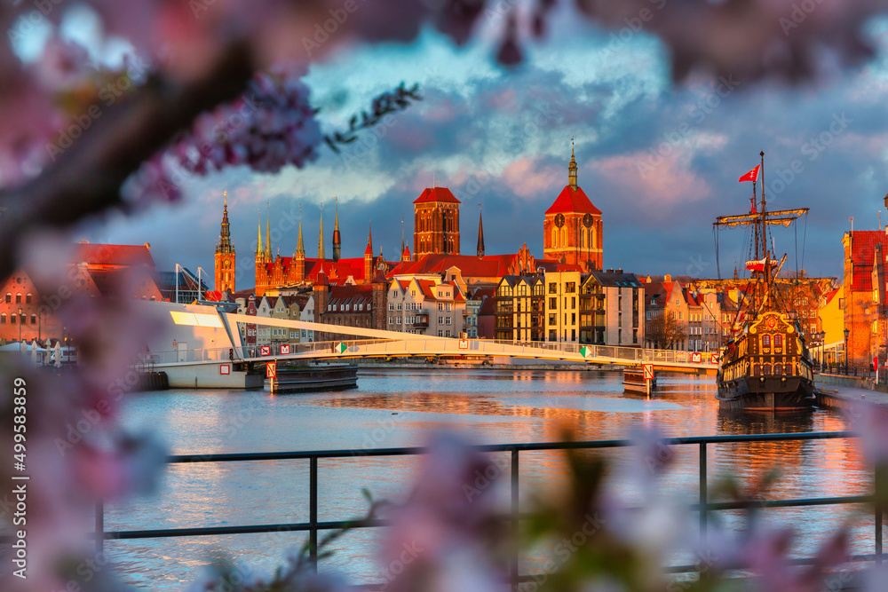 Sunrise by the Motława River with a view of Gdańsk through the blooming cherry trees