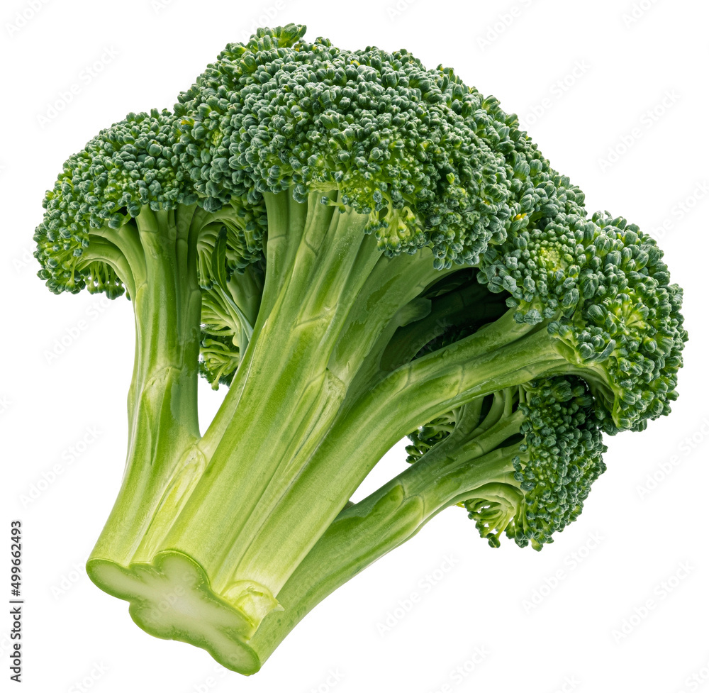 Broccoli isolated on white background