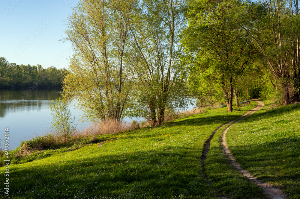 Rivage du fleuve Saône autour de Beauregard-sur-Saône dans le département de lAin au printemps