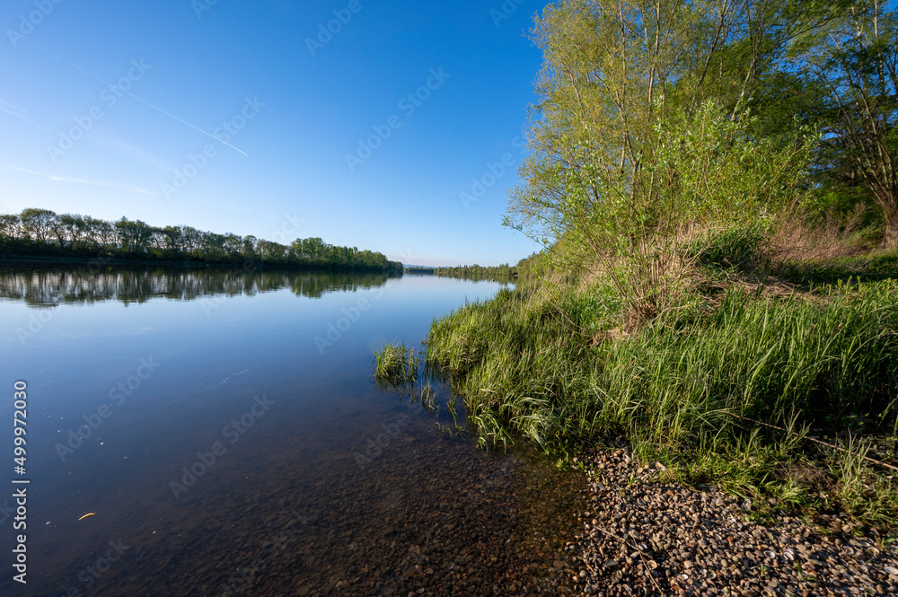 Rivage du fleuve Saône autour de Beauregard-sur-Saône dans le département de lAin au printemps