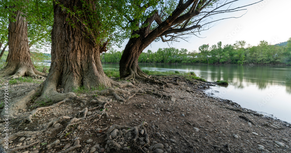 Berges du fleuve Saône autour de Fontaines-sur-Saône dans le département du Rhône au printemps