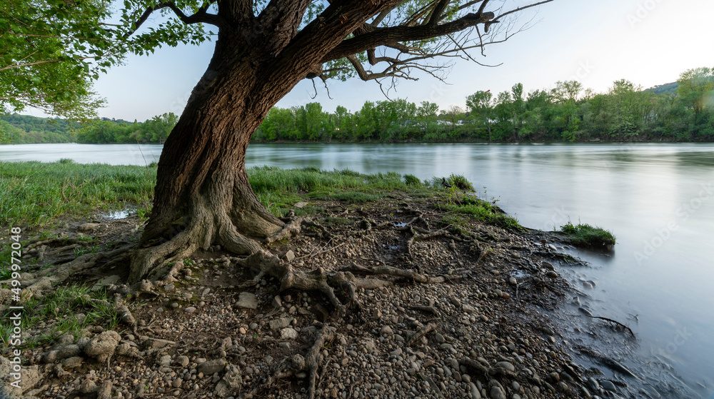 Berges du fleuve Saône autour de Fontaines-sur-Saône dans le département du Rhône au printemps