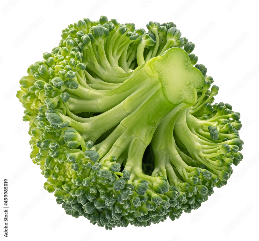 Broccoli isolated on white background