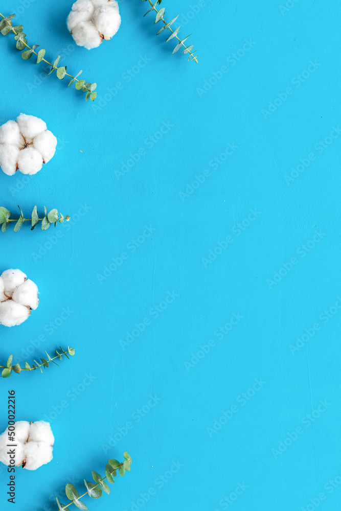 Flowers composition on blue desk with eucalyptus branches and cotton. Flat lay, top view, copy space