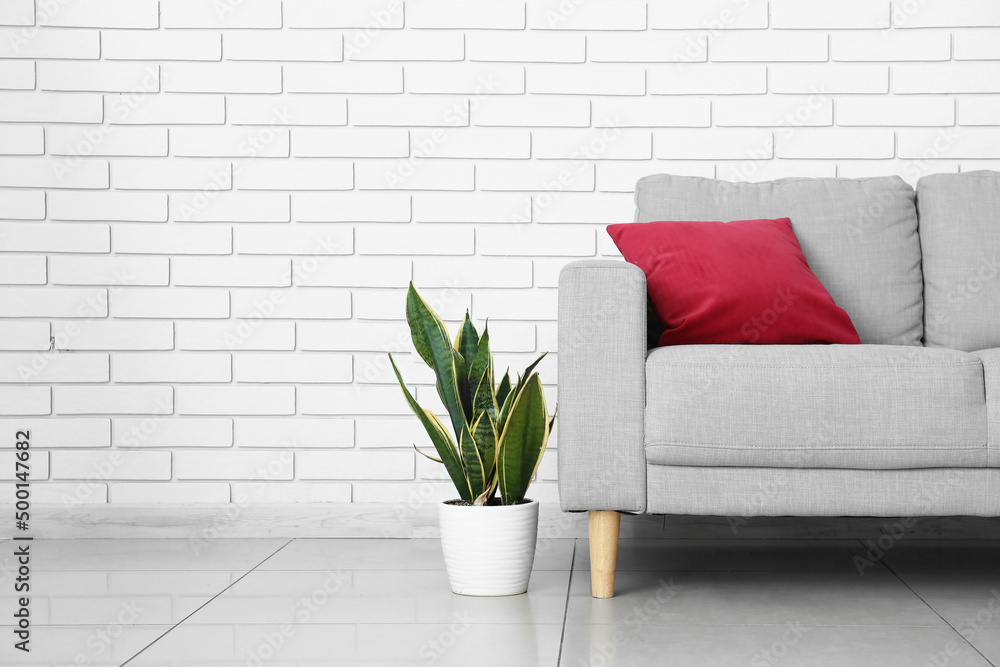 Modern sofa with pillow and houseplant near light brick wall in room