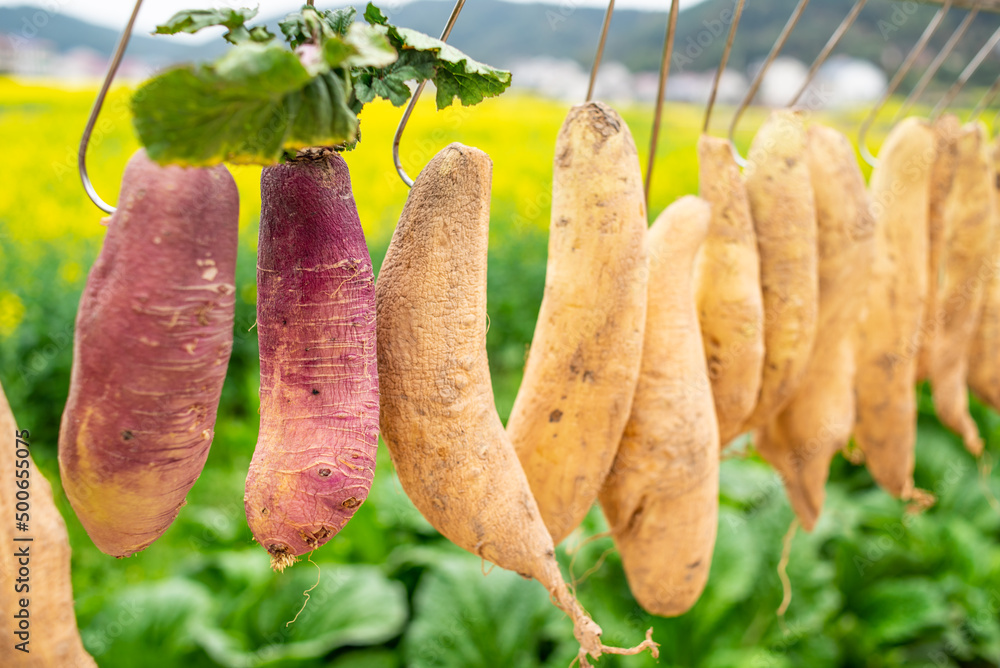 Hunan rural farmhouse drying radishes