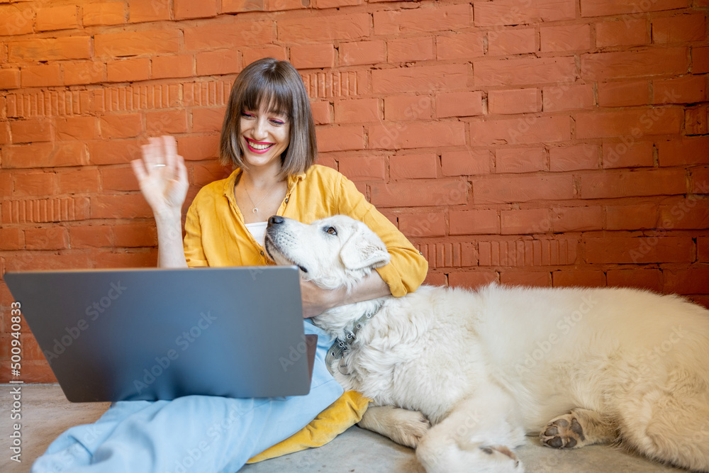 Young cheerful woman having video call on laptop computer while sitting with her cute white dog on b