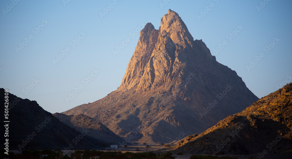 Mountains and plants
