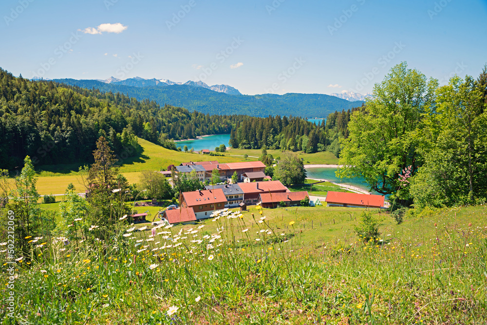 巴伐利亚风景画，Sachenbach村和Walchensee湖的景色，花草地