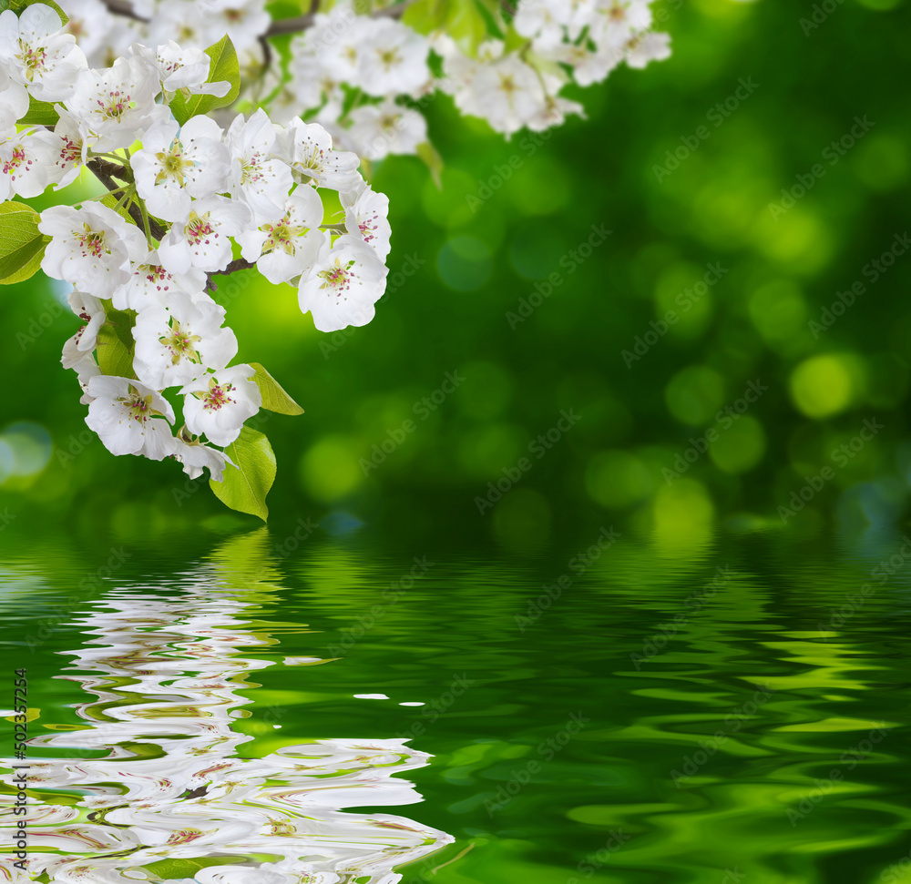 Spring bloom near the water