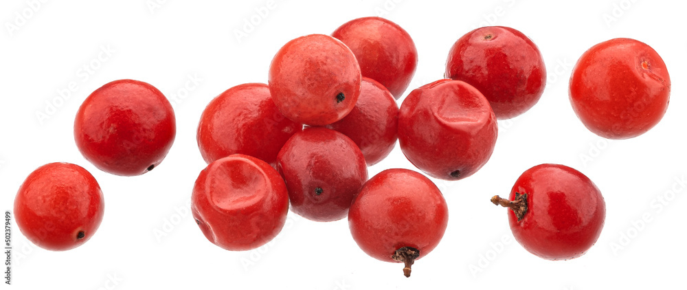 Red peppercorns isolated on white background, full depth of field