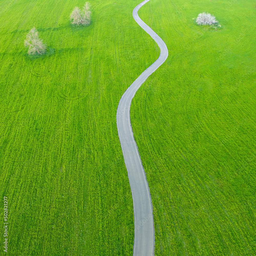 沥青乡村道路蜿蜒穿过绿草和树木的田野，空中极简主义景观