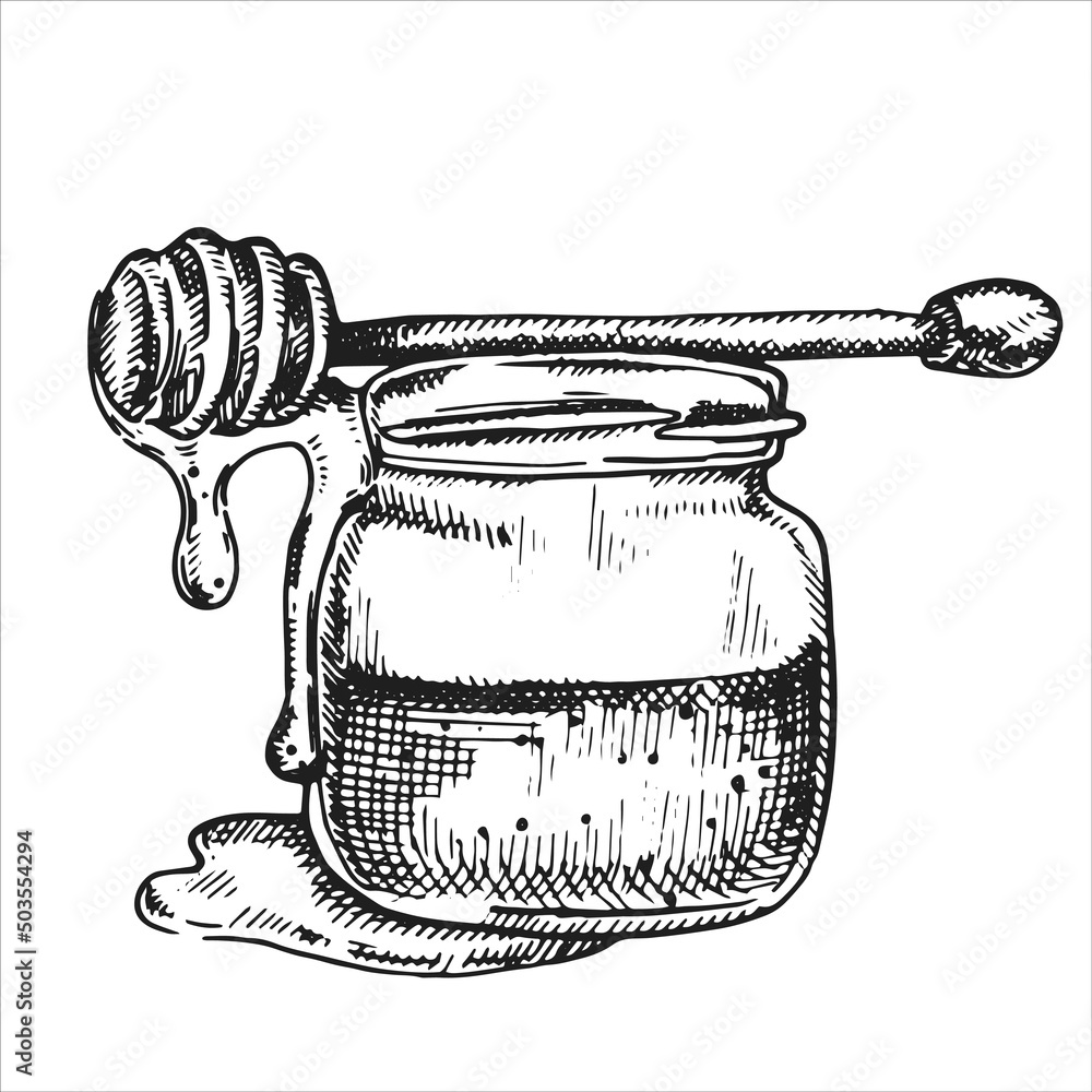 vector drawing in vintage style. honey. jar with honey, honeycombs. eco friendly product, food. grap