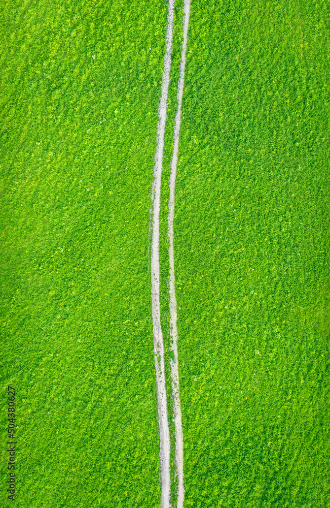 绿草如茵，白色未铺砌道路，轮胎履带，俯视图