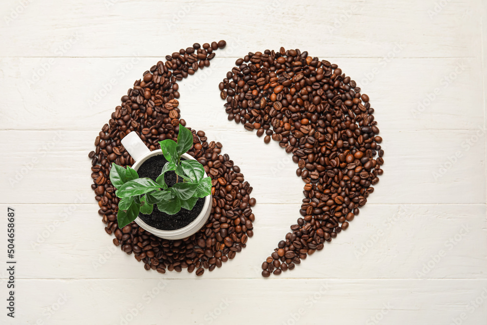 Composition with young coffee tree and beans on light wooden background