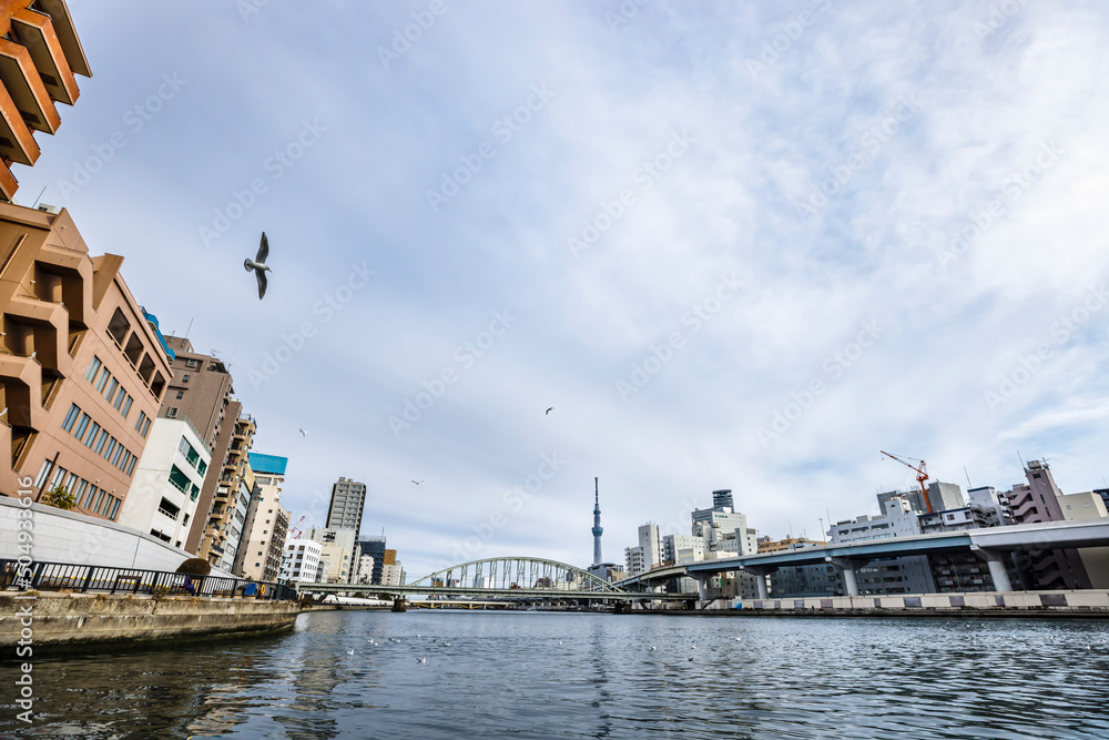 東京の川を航行する船から見る風景