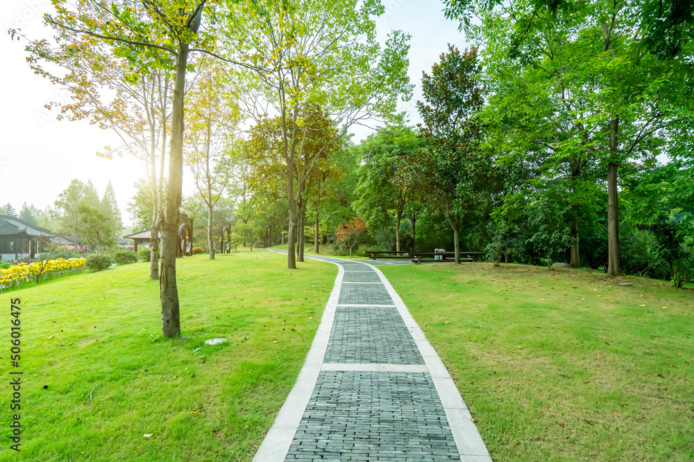 park sunshine grass green woods