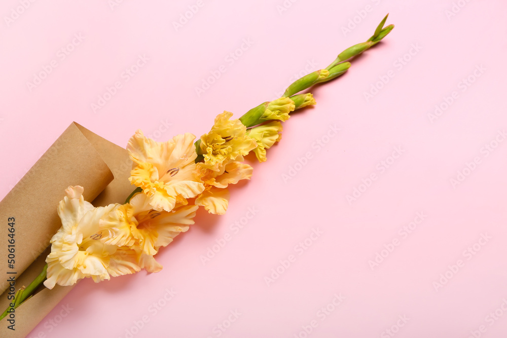 Beautiful gladiolus flower wrapped in paper on color background, closeup