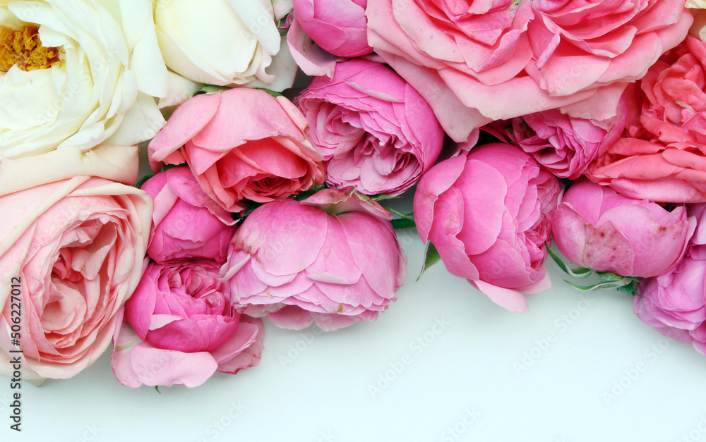 Floral pattern made of roses on blue background. Flat lay, top view. Valentines background. Floral 