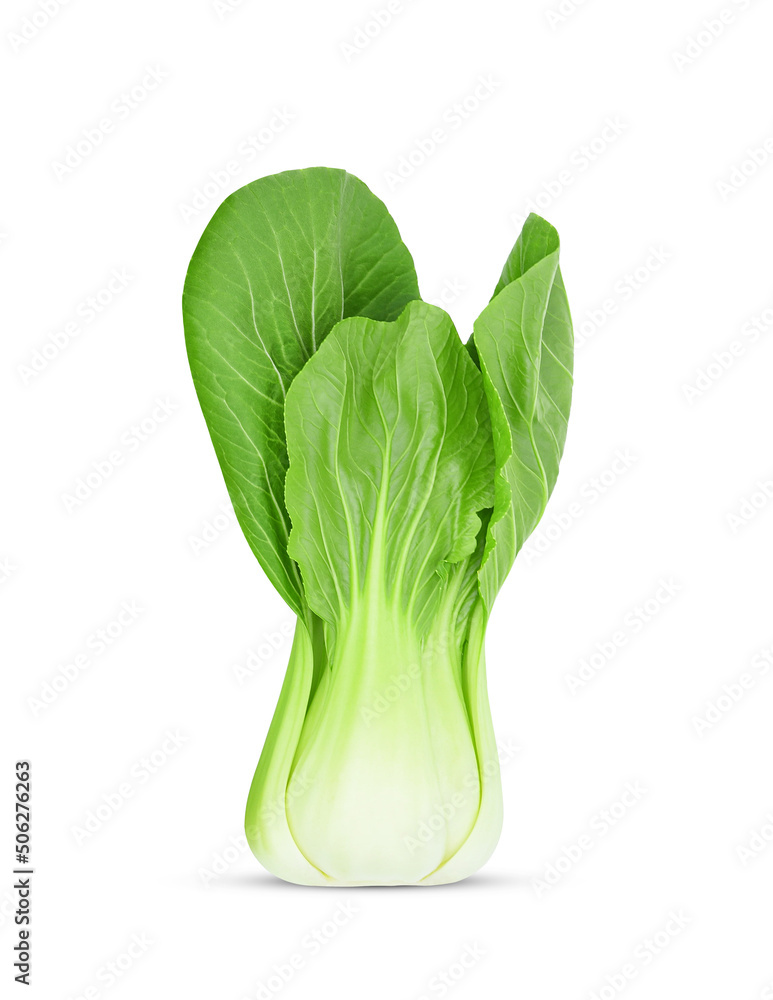 Bok choy leaf (chinese cabbage) isolated on white background.