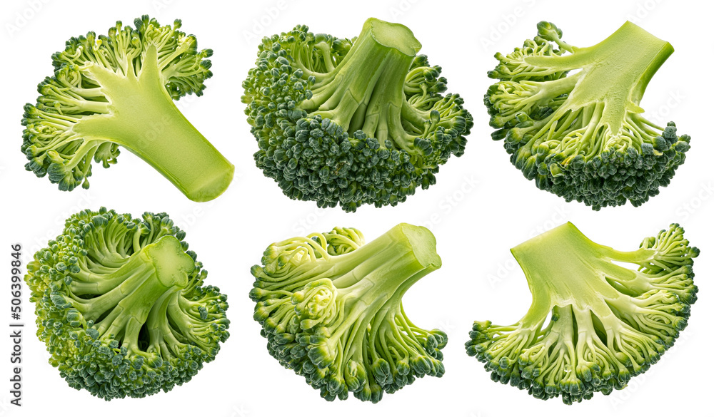 Broccoli isolated on white background, full depth of field