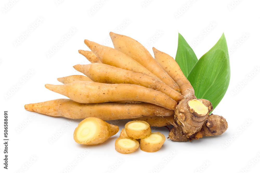 Finger root rhizome with leaves  isolated on white background.