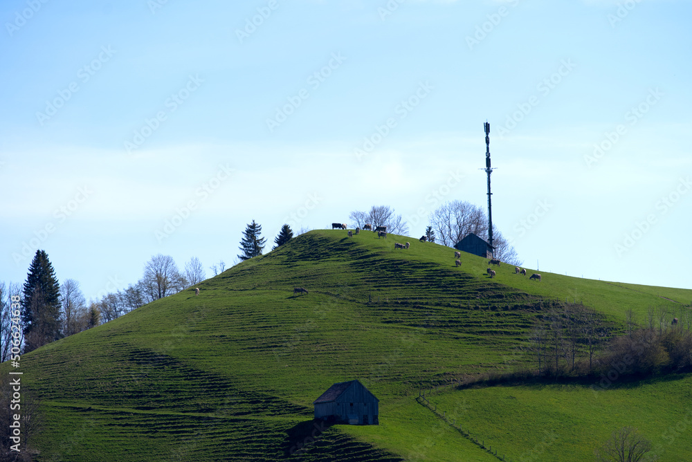 Scenic landscape with hills, trees, cows and mountains seen from Swiss village Urnäsch. Photo taken 