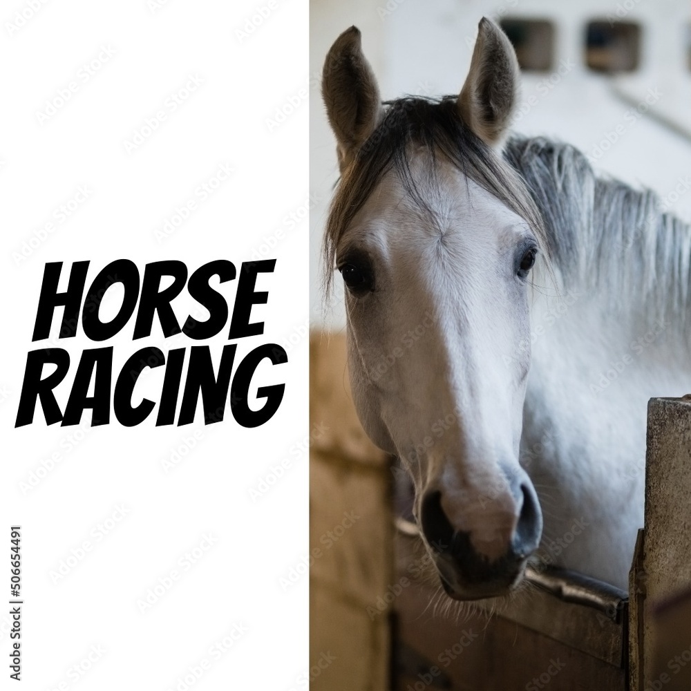 Composite image of horse racing on white background and portrait of horse in stable, copy space