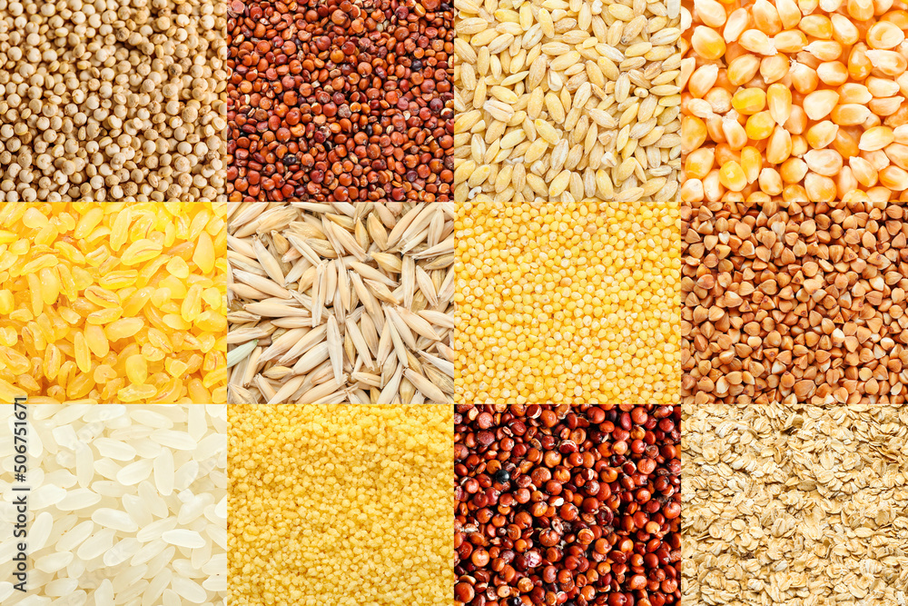 Collection of different cereals, closeup view