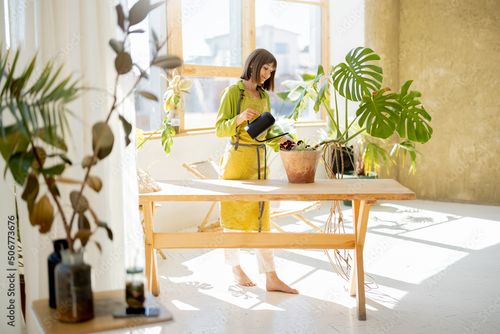 Young woman in apron as housewife or gardener takes care of green plants, watering flower pots in su