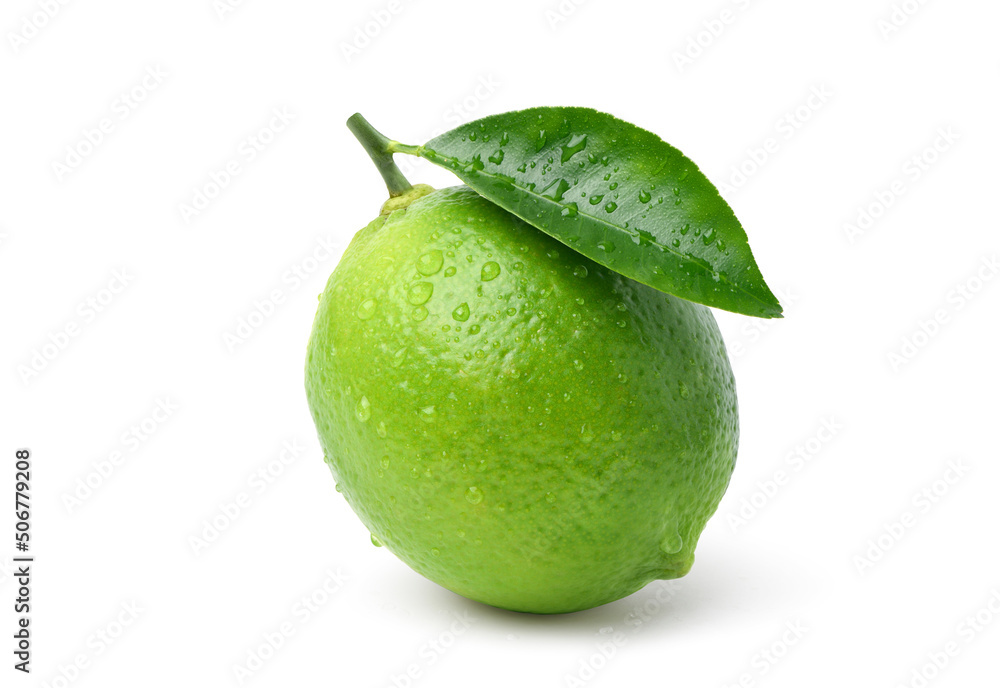 Natural fresh lime with water droplets  isolated on white background. Clipping path.